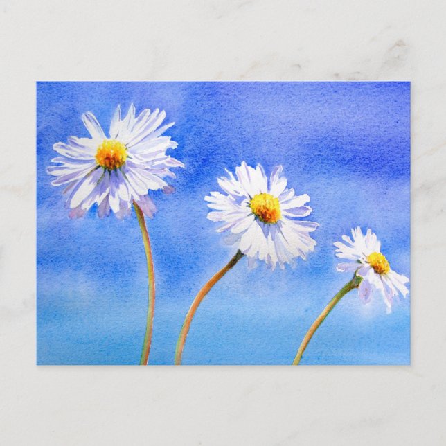 Daisy Daisy Postcard (Front)