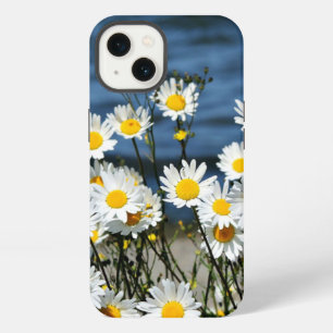 Daisy-Daisy, pretty wildflower daisies iPhone Case