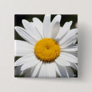 Daisy Darling 2 Inch Square Button