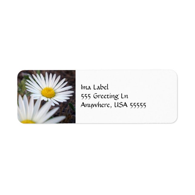 Daisy Day Label (Front)