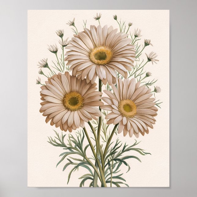 Daisy Daydream Poster (Front)