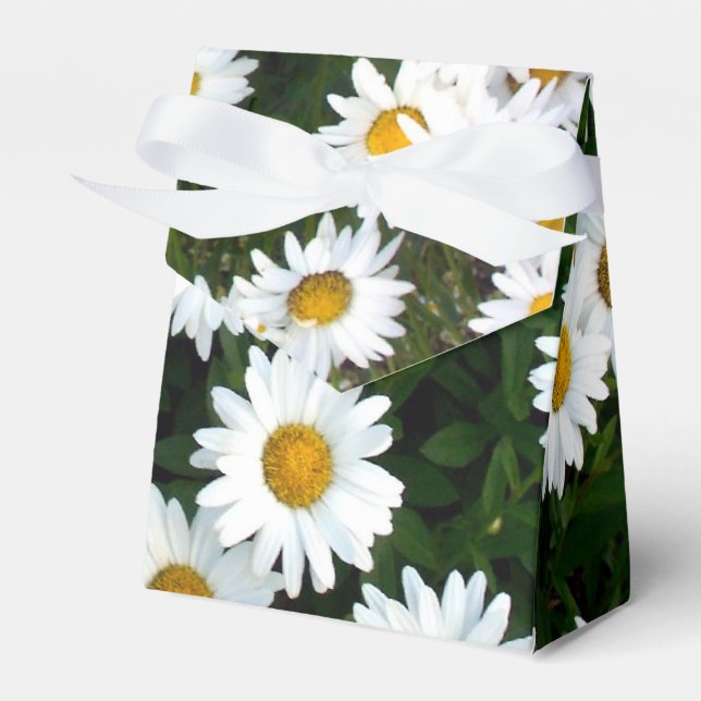 Daisy Delight Favour Box (Front Side)