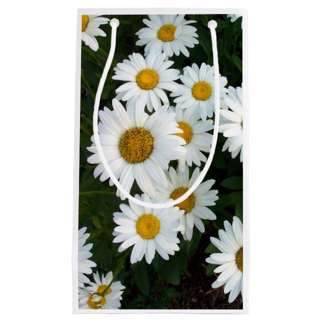 Daisy Delight Gift Bag (Front)