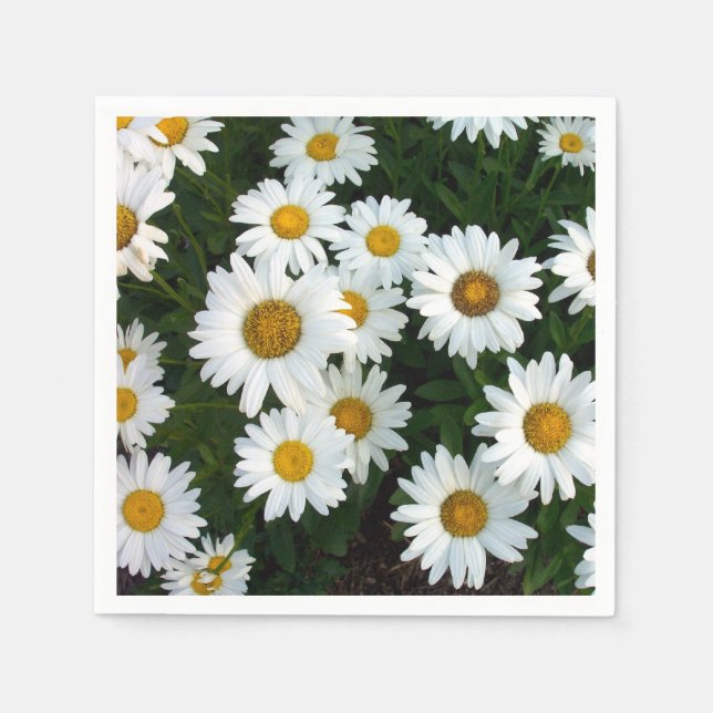 Daisy Delight Napkins (Paper) (Front)