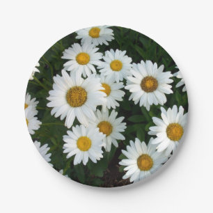 Daisy Delight Paper Plates