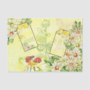 Daisy Design Series 7 Tissue Paper