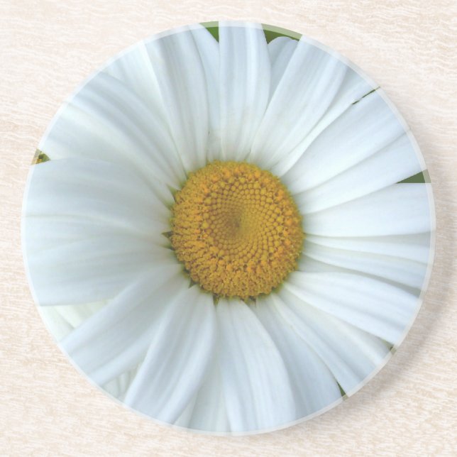 Daisy Dessous de verre Fleur sauvage Daisy Décor & (Devant)