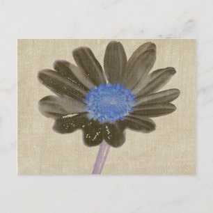 Daisy Digital Art Postcard