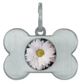 *Daisy* Dog Collar Tag