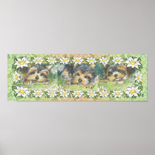 Daisy Dogs Yorkie Puppies Poster Print