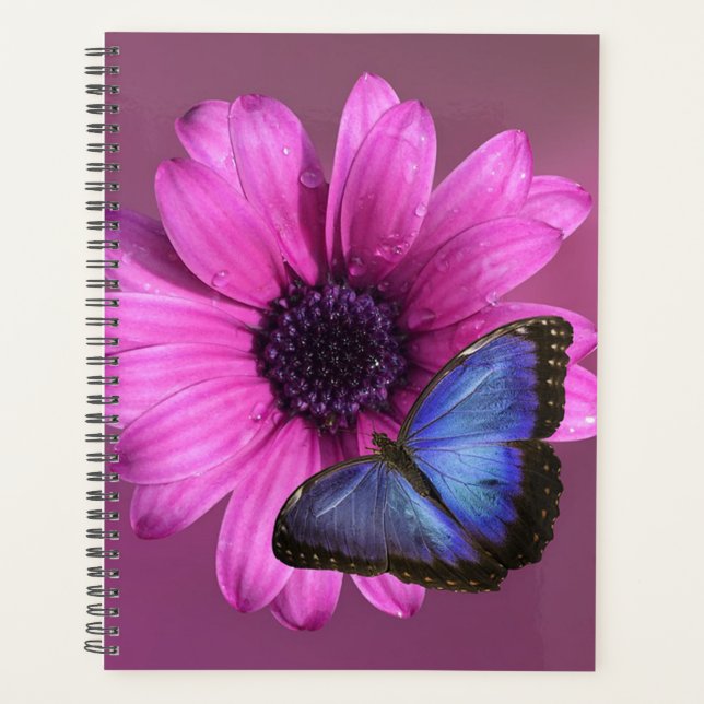 Daisy et Morpho (Devant)