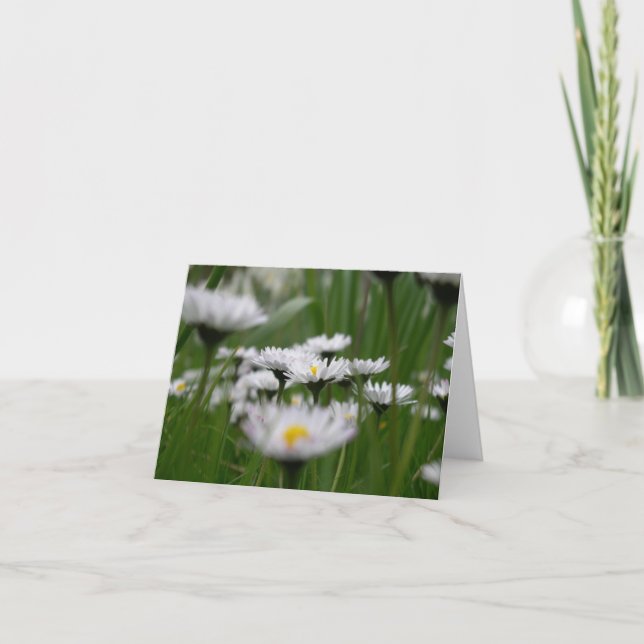 Daisy Field Card (Front)