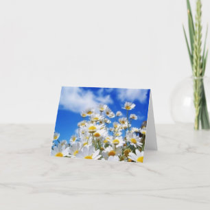 Daisy Field Card