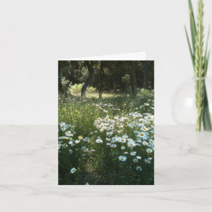 Daisy Field Personalized Greeting Card