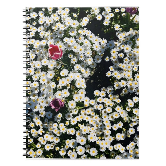 Daisy Field Spiral Notebook (Front)