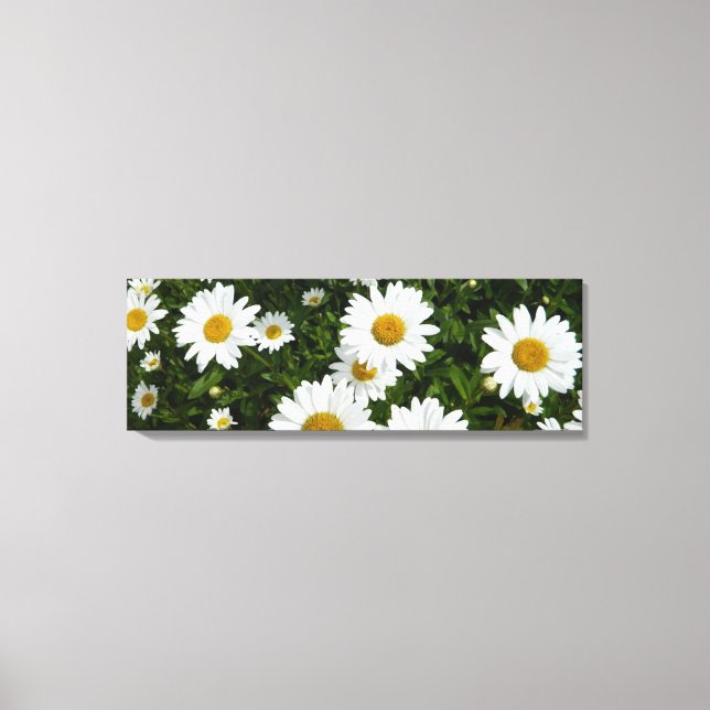 Daisy Field Wrapped Canvas Print (Front)