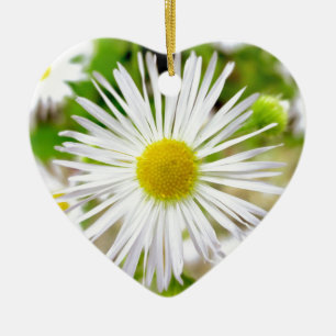 Daisy Fleabane Ceramic Ornament