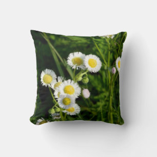 Daisy Fleabane Pillow