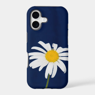 Daisy flower