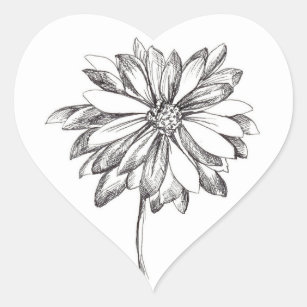 Daisy Flower Black Pen and Ink Drawing Heart Sticker