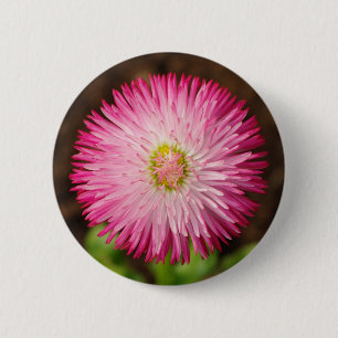 Daisy Flower - Button