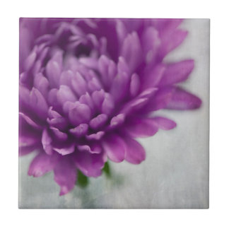 Daisy Flower ceramic tile in Purple and grey