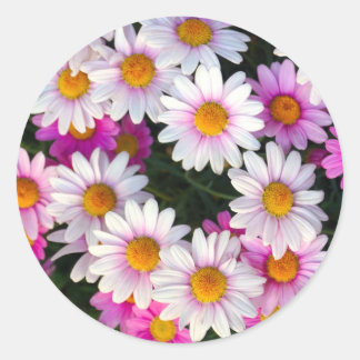 Daisy Flower Classic Round Sticker