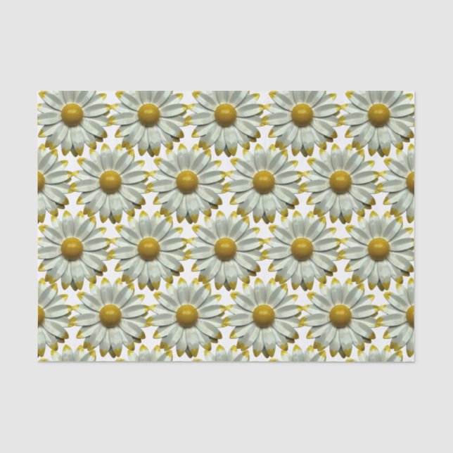 Daisy Flower - Floral Spring Summer Garden Wedding Tissue Paper (Front)