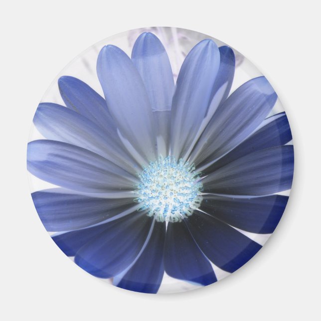 Daisy Flower Glowing Blue Magnet (Front)