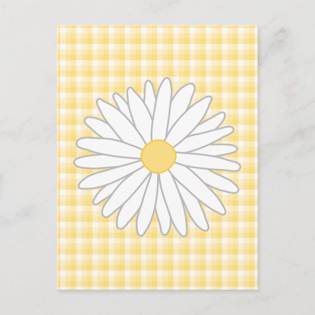 Daisy Flower in Yellow and White. Postcard (Front)