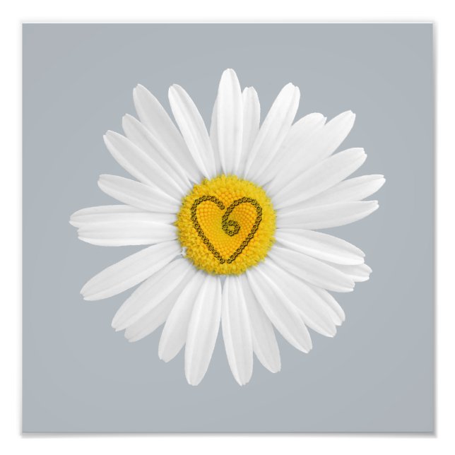 Daisy Flower Love Art Customize Background Photo Print (Front)