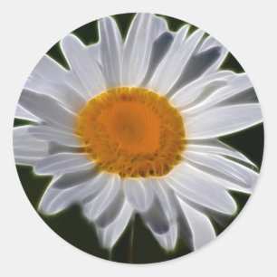 Daisy flower power classic round sticker