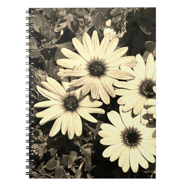 Daisy Flower Sepia Notebook  (Front)