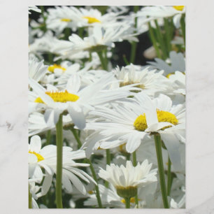 Daisy Flower themed Flyers paper Business Office