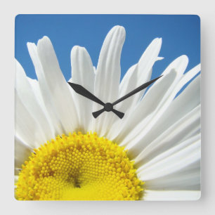 Daisy Flower Wall Clock gifts Decorative Designer