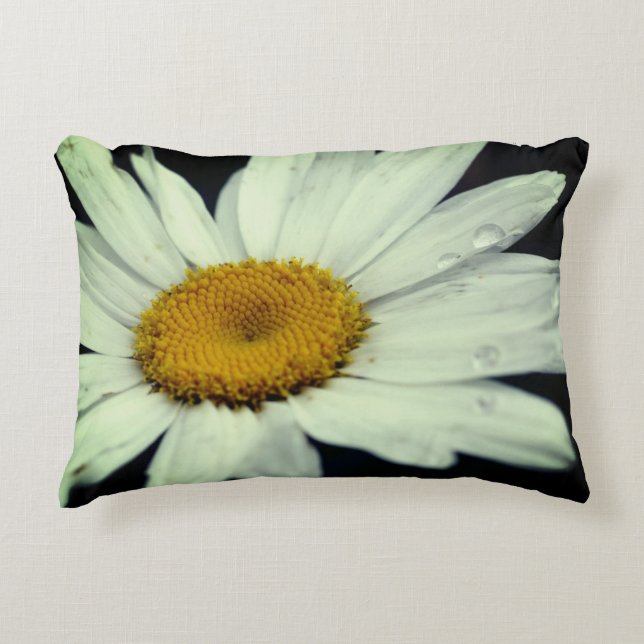 Daisy Flower With Raindrops  Accent Pillow (Front)