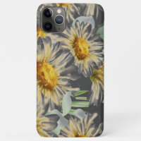 Daisy Flowers