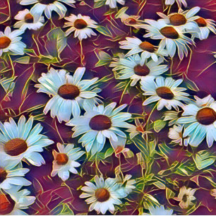 DAISY FLOWERS   CORKSCREW