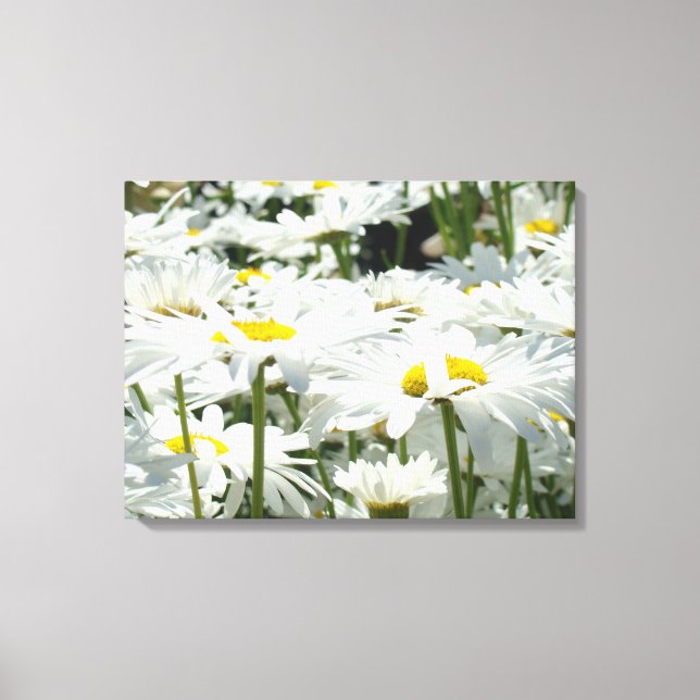 Daisy Flowers Decorative art Canvas Photography (Front)