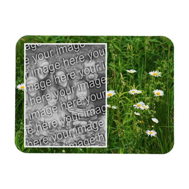 Daisy Flowers In Field Add Your Photo Magnet (Horizontal)