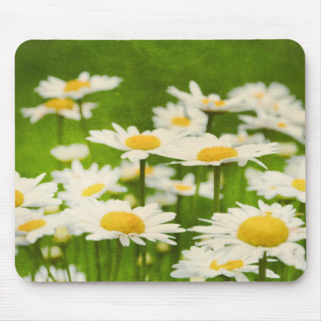 Daisy Flowers Mouse Pad (Front)
