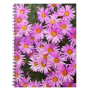 DAISY FLOWERS NOTEBOOK