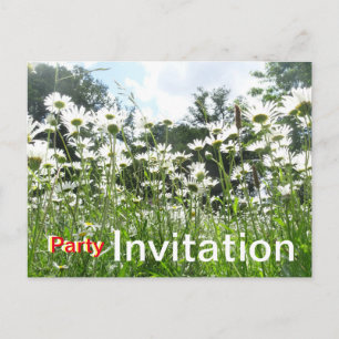Daisy Flowers Party Invitation Postcard