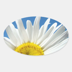 Daisy Flowers Stickers Blue Sky Envelope seals