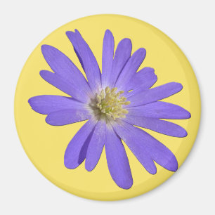 Daisy Frigo Magnet Blue Flower Daisy Cadeaux