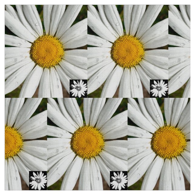 Daisy Fun Fabric (Swatch)