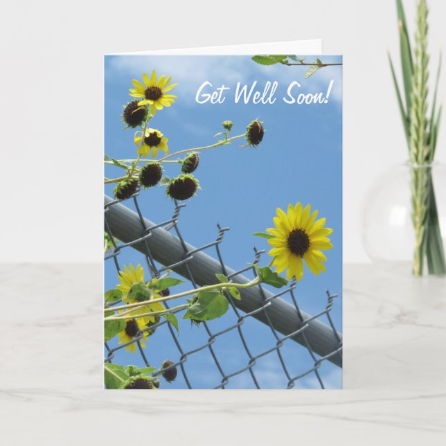 Daisy Get Well Soon Greeting Card (Front)