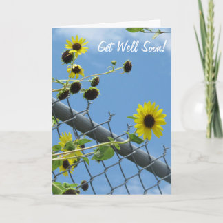 Daisy Get Well Soon Greeting Card