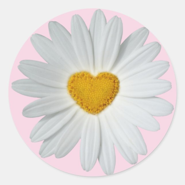 Daisy Heart Classic Round Sticker (Front)