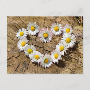 Daisy Heart Postcard